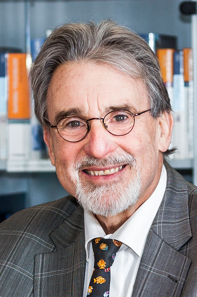 Ansicht Bild Detleg Stange 